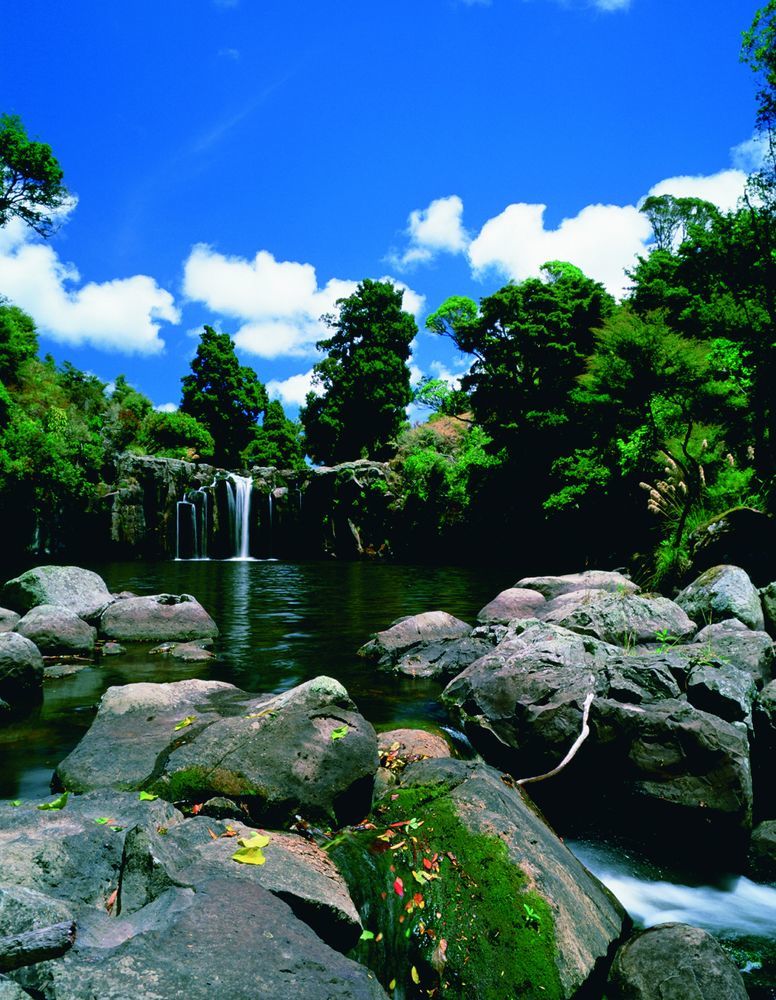 Вилла Rosewood Kauri Cliffs Matauri Bay Экстерьер фото